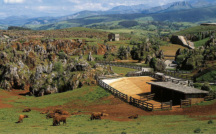 Parque de la Naturaleza de Cabárceno