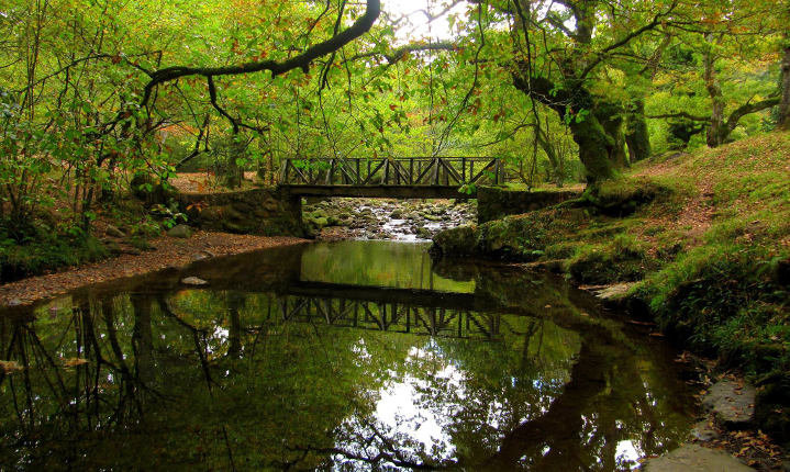 Parque Natural Saja-Besaya, EN Ucieda. Foto: Julián BG