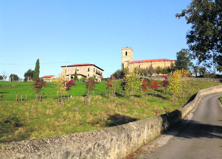 Hazas de Cesto data de 1351 como aparece en el Cartulario de Santa María del Puerto (Santoña), dividiendo ya por aquel entonces este bello y pequeño municipio en los concejos de Beranga, Praves y Hazas de Cesto