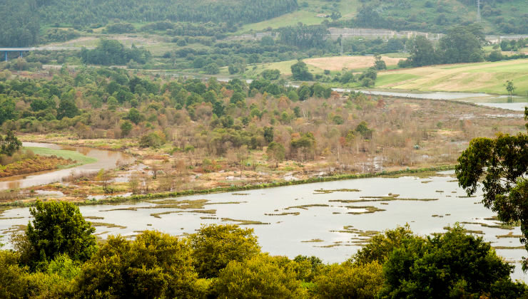 La Marisma Rubín vuelve a tener agua salada