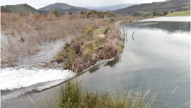 Ecologistas en Acción denuncia &#34;falta de rigor&#34; en la recuperación de la Marisma de Rubín