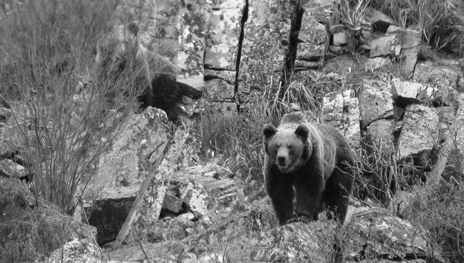 El documental &#39;Cantábrico&#39; se estrena este viernes en toda España