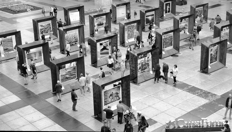 Exposición de Sebastiao Salgado en la plaza Porticada de Santander