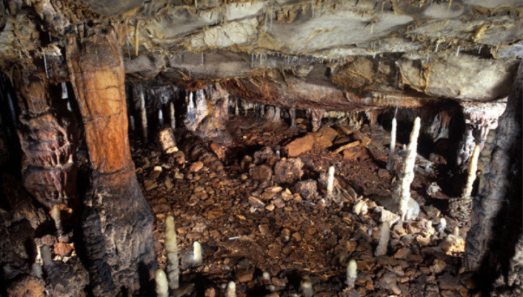 Yacimiento arqueológico de La Garma