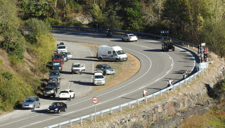 Más de una decena de turistas aguarda la llegada de un oso