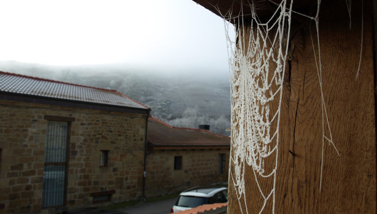 Imagen de una telaraña congelada por el frío