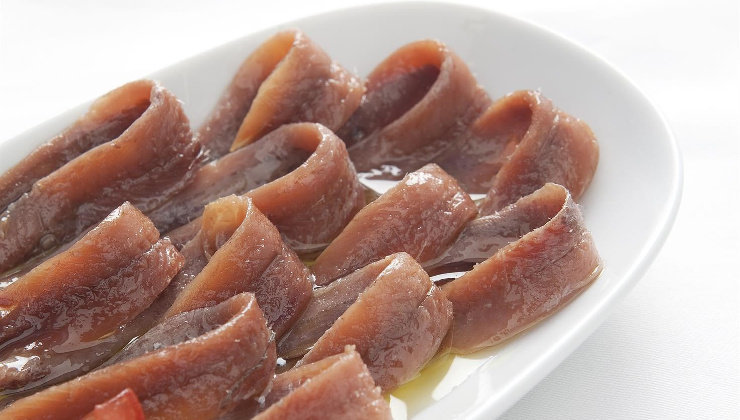 Anchoas de Cantabria