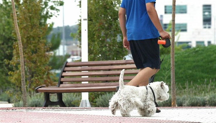 Un estudio revela que no hubo beneficios significativos entre tener mascota o no durante la pandemia