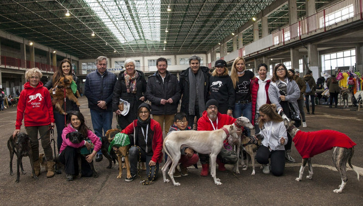 II Feria de Adopción Responsable Ciudad de Torrelavega