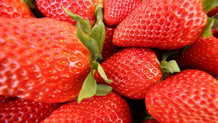 Fresas de Huelva. Foto: Pixabay