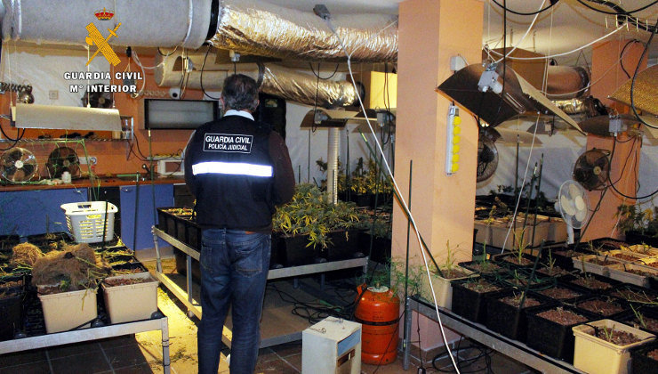 La Guardia Civil ha detenido a un hombre que poseía una plantación &#39;indoor&#39; en Piélagos