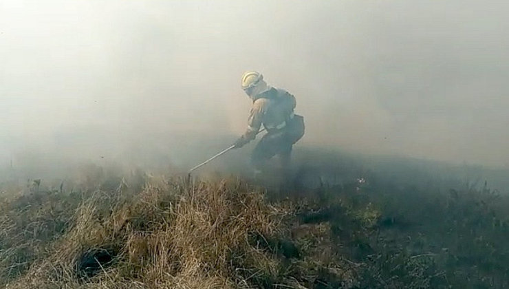 Labores de extinción de un incendio forestal