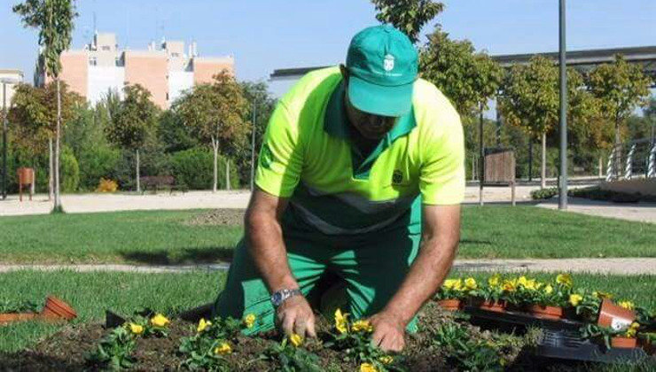 Los trabajadores de Corporaciones Locales se incorporan a sus puestos en Noja