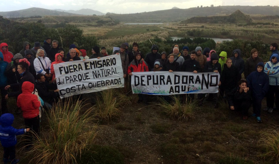 rechazo vueltra ostrera