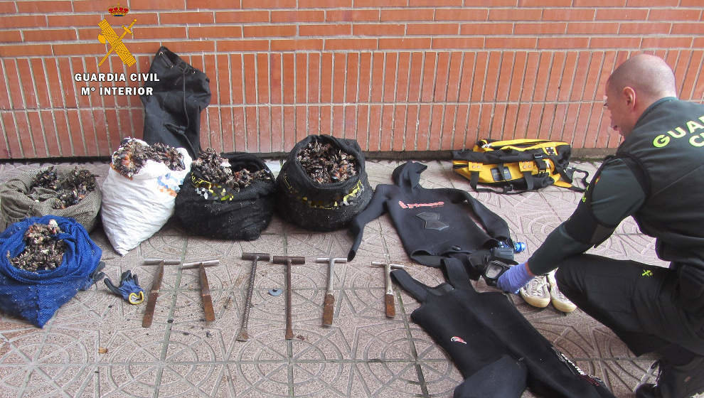 Material y percebes inautados por la Guardia Civil