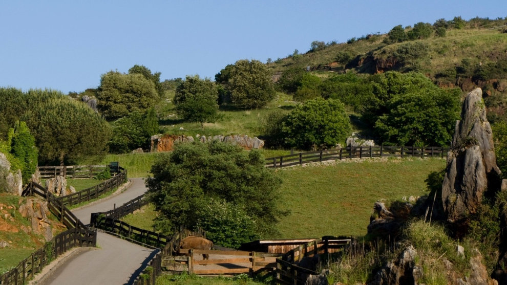 Parque de la Naturaleza de Cabárceno