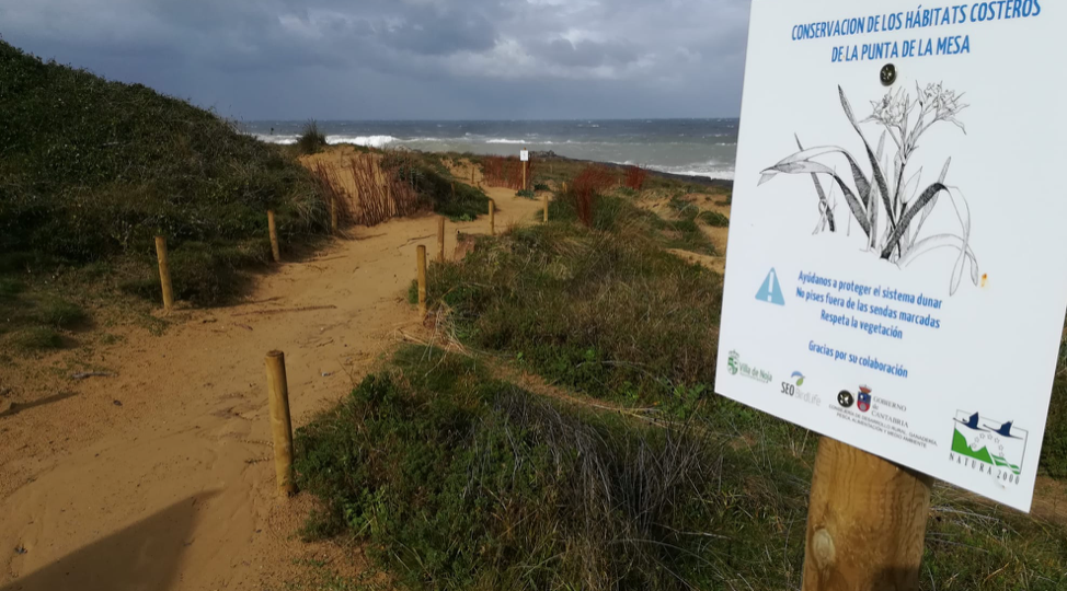 Dunas de Punta de la Mesa de Noja