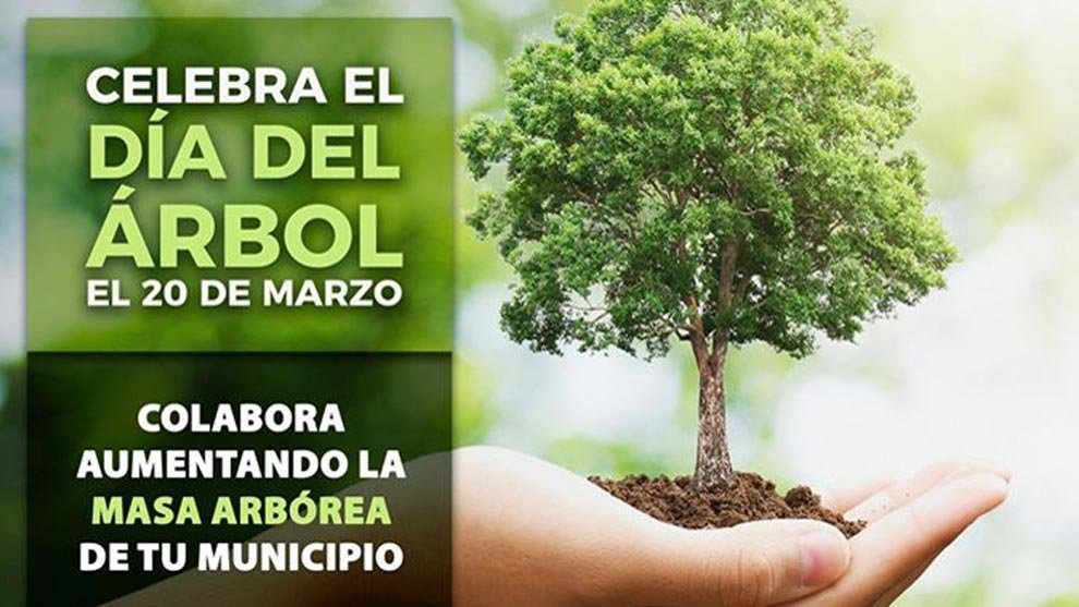 dia-del-arbol