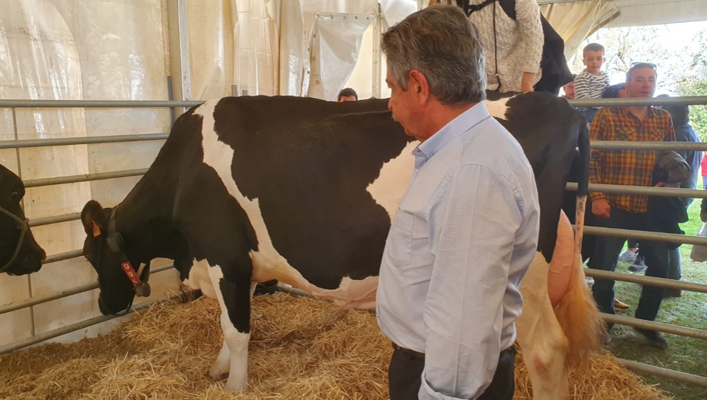 Revilla en la Feria de la Leche de Trasierra 