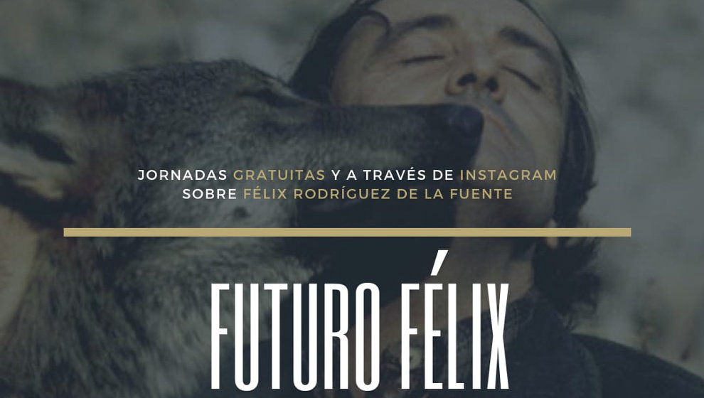 Detalle del cartel de &#39;Futuro Félix&#39;