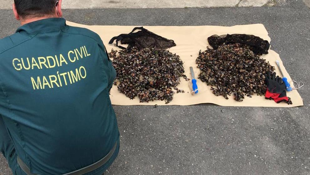 Percebes incautados por la Guardia Civil