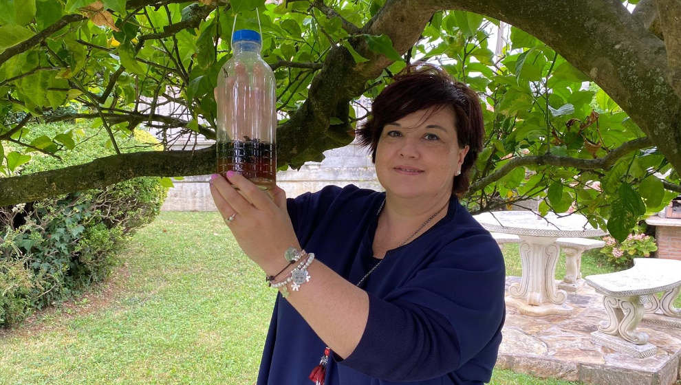 La concejala de Medio Ambiente del Ayuntamiento de Marina de Cudeyo, Cristina Gómez, con una trampa de avispa asiática