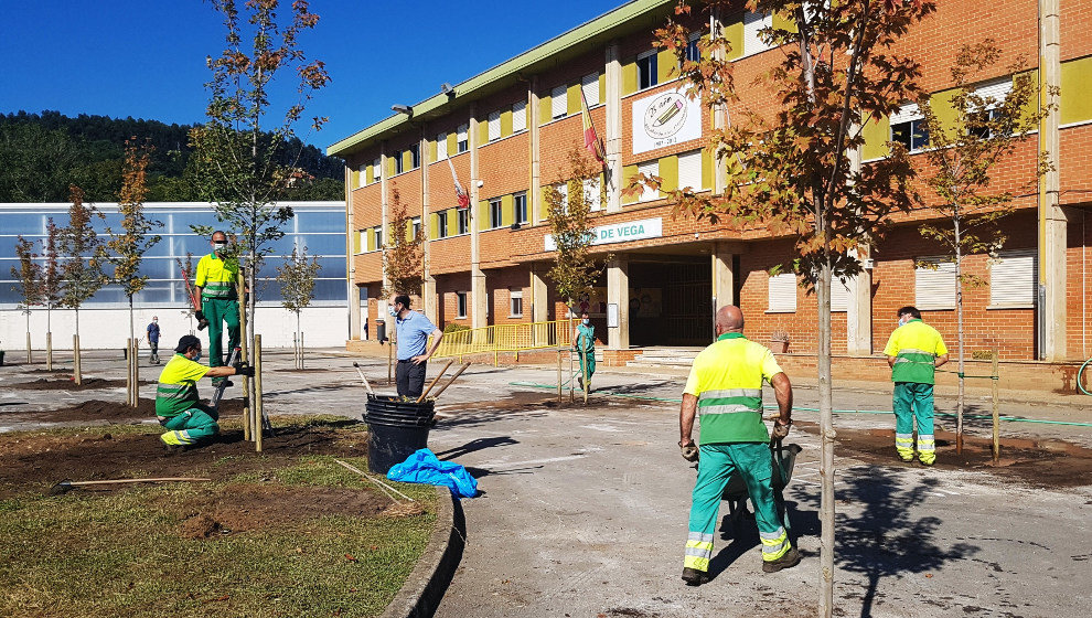 Plantación de arbolado en el colegio Mies de Vega