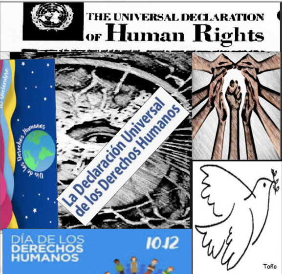 Derechos Humanos