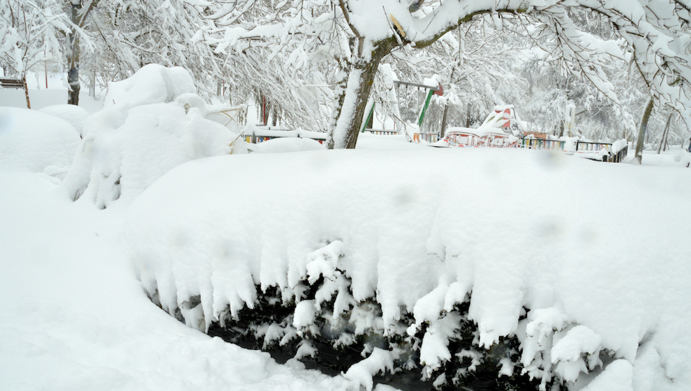 Árboles nevados