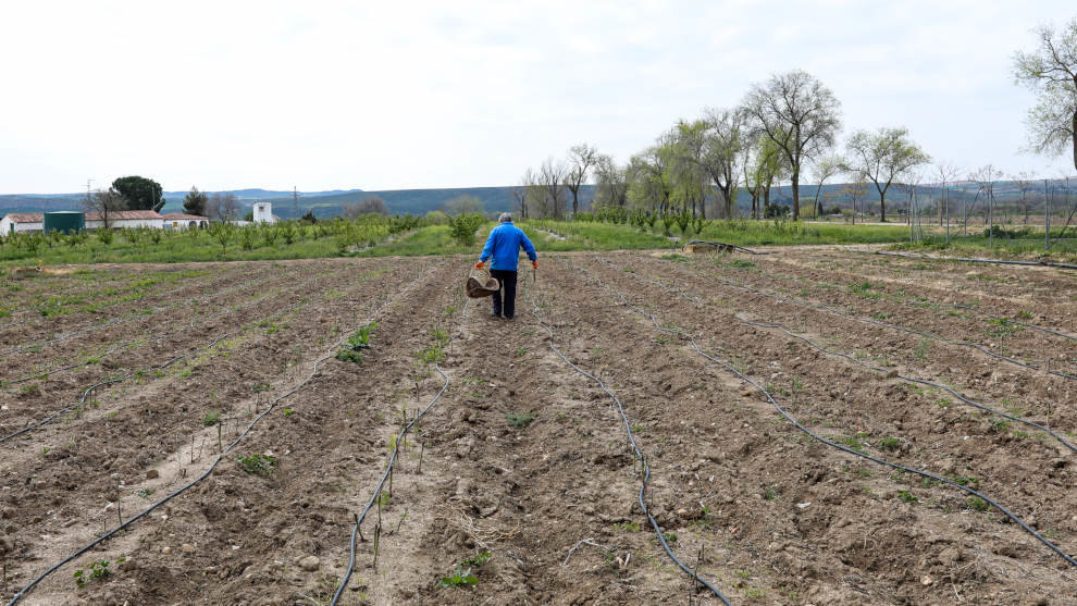 Un agricultor en un campo