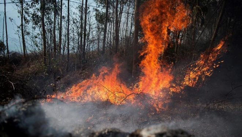 Podemos considera que el Gobierno gestiona mal los incendios provocados