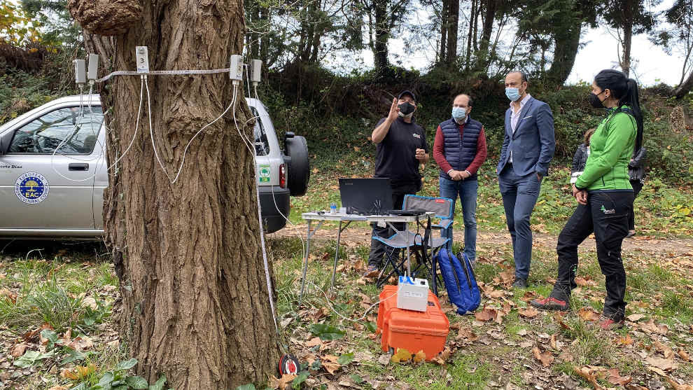 El alcalde y el concejal de Medio Ambiente de Torrelavega comprueban los trabajos en el arbolado de 'El Patatal'