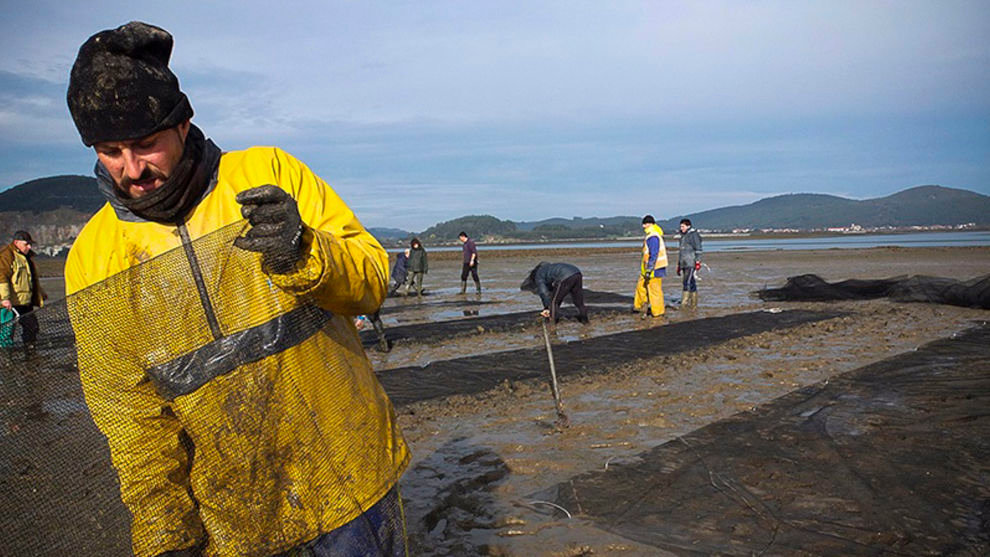 Cantabria convoca 60.000 euros de ayudas a cooperativas y asociaciones de pesca y marisqueo