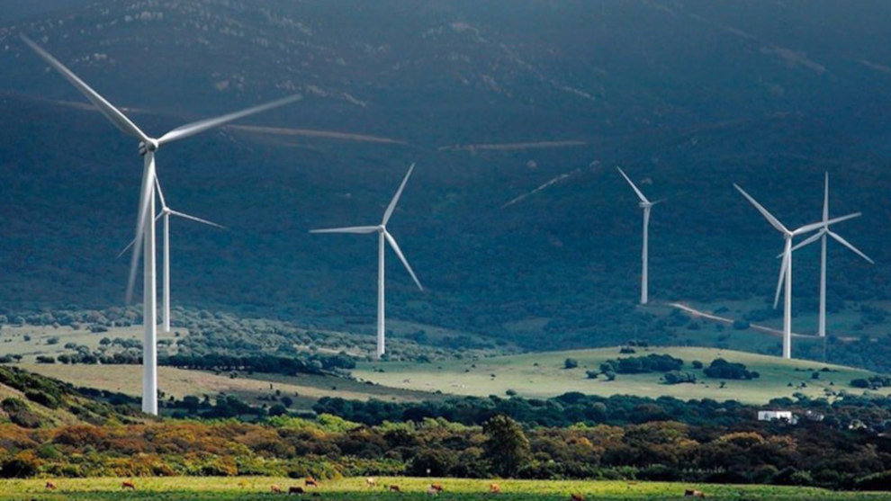 El Parlamento no logra un acuerdo en la postura de sus grupos sobre los aerogeneradores