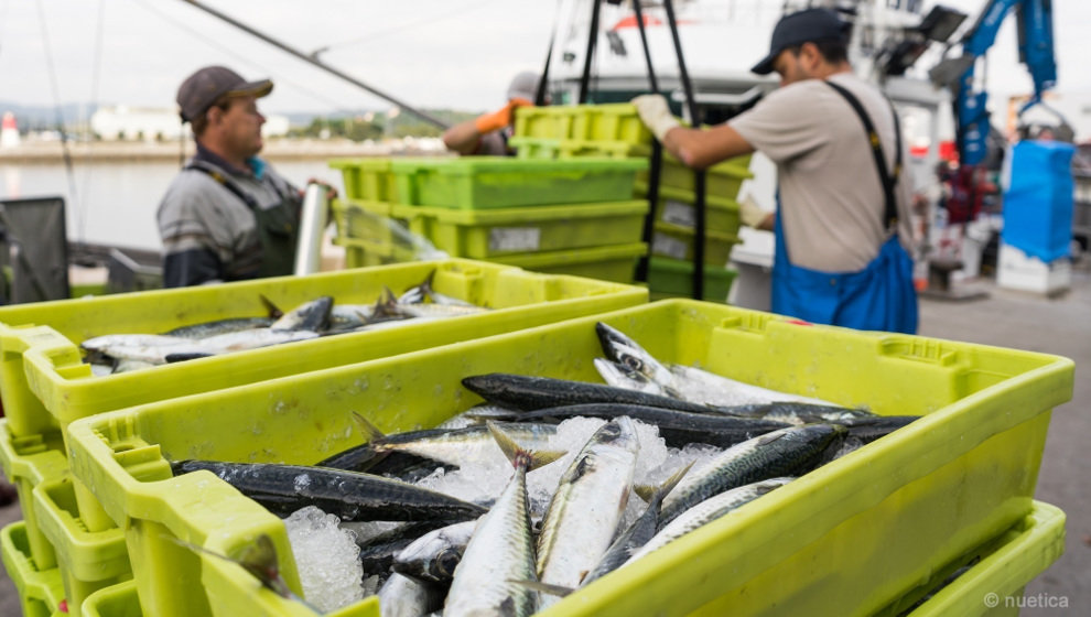 Los pescadores de Cantabria creen que no ha habido muchos recortes en el reparto para 2023, pero tampoco que haya sido algo histórico