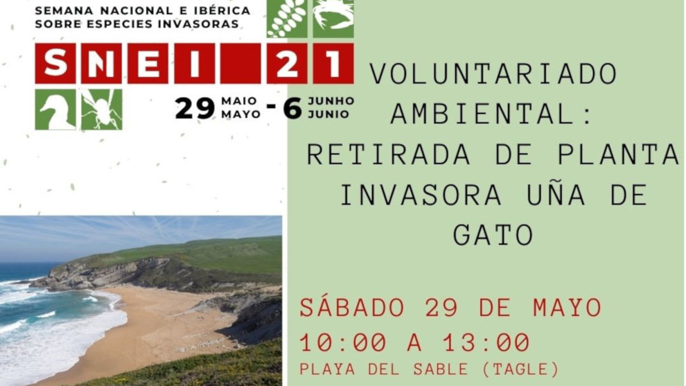 Parte del cartel de la jornada de voluntariado ambiental del 29 de mayo