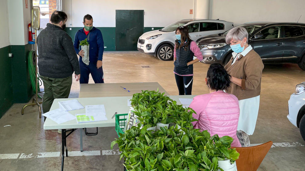 La alcaldesa de Polanco, Rosa Díaz, y los concejales Isabel Herrera y Cristian Olmo, durante el reparto de las plantas de pimiento y berenjena