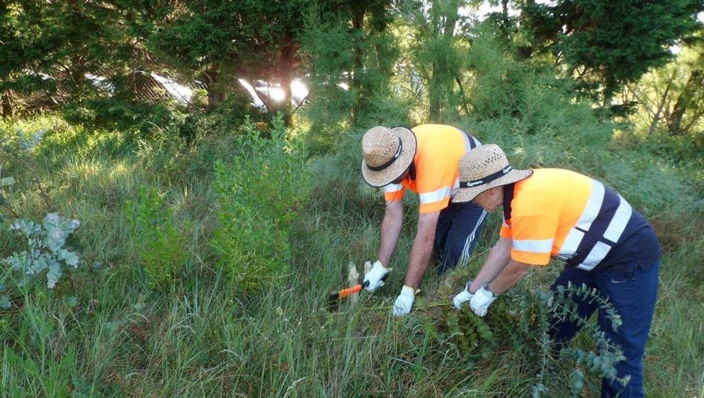 Los desempleados llevarán a cabo labores esenciales