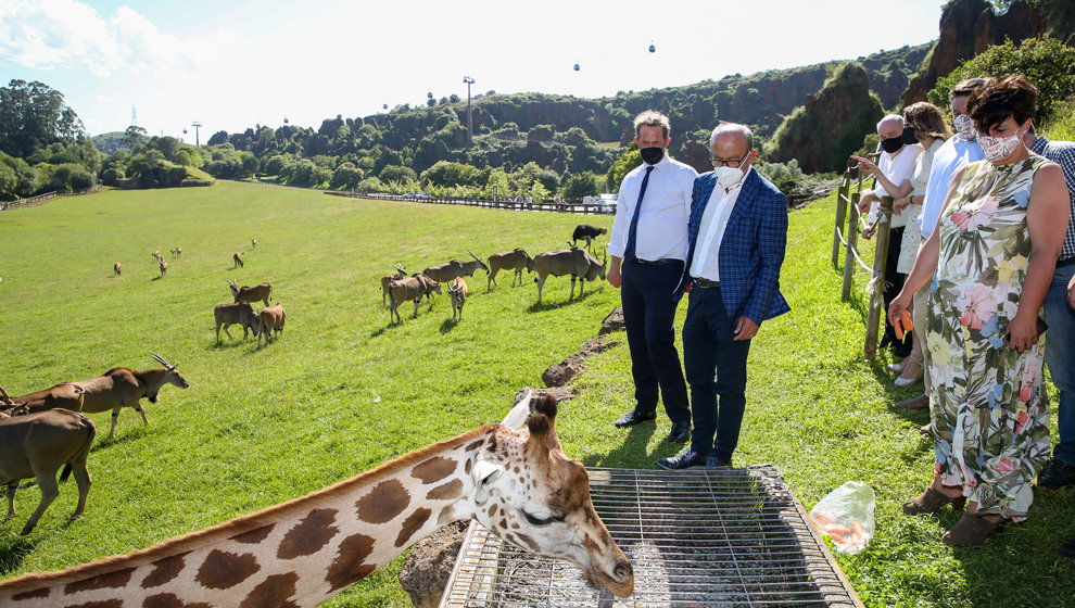 El consejero de Turismo, Javier López Marcano, y el secretario de Estado de Turismo, Fernando Valdés, en Cabárceno
GOBIERNO DE CANTABRIA
5/7/2021