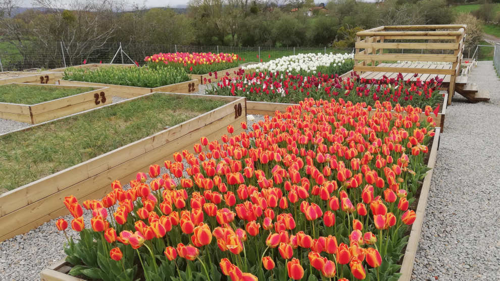 'Agrorreserva' de Campoo de Yuso