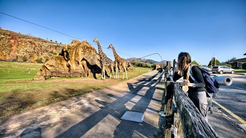 Recinto de las jirafas de Cabárceno