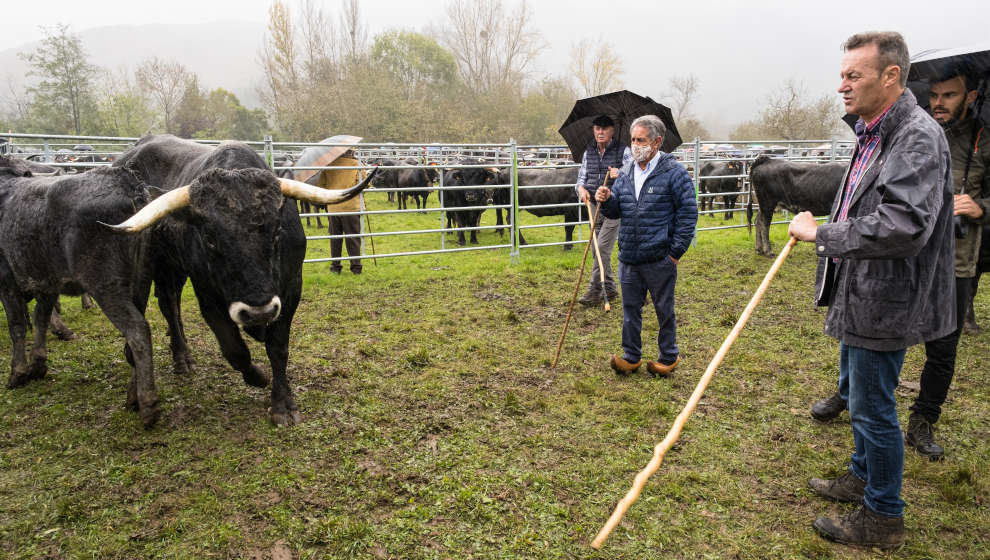 El presidente de Cantabria, Miguel Ángel Revilla, y el consejero de Desarrollo Rural, Ganadería, Pesca, Alimentación y Medio Ambiente, Guillermo Blanco, asisten a la feria anual de ganado vacuno y caballar de Ruente