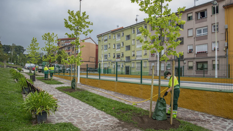 Imagen de una zona arbolada en Torrelavega