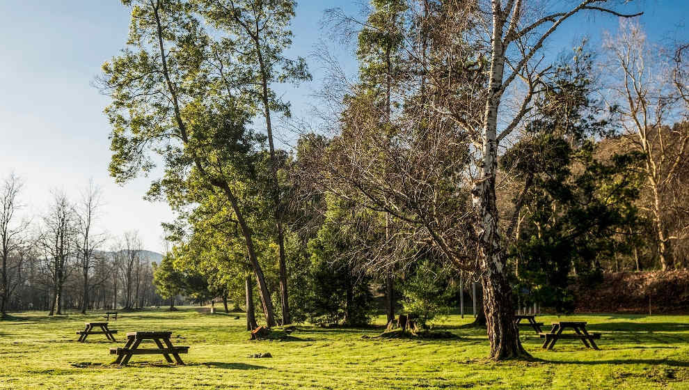 Parque La Viesca