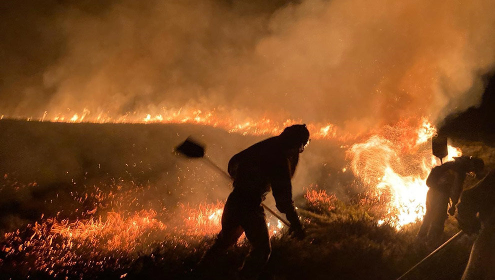 Incendio forestal