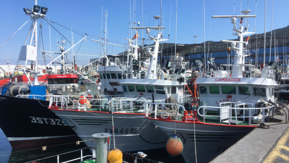 Barcos amarrados en el puerto de Santoña | Foto: edc