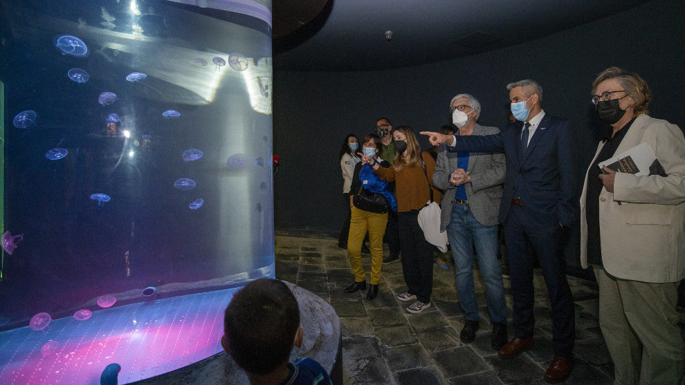 El vicepresidente y consejero de Universidades, Igualdad, Cultura y Deporte, Pablo Zuloaga, inaugura el nuevo medusario del MMC 