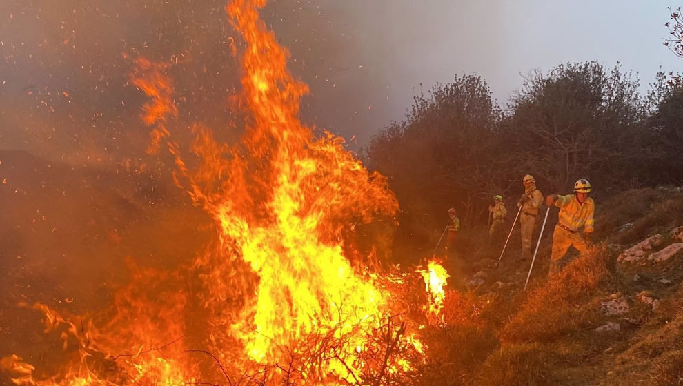 Incendio forestal