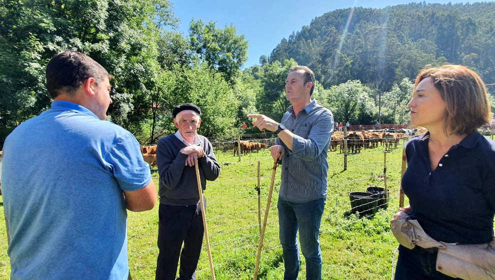 El Consejero De Desarrollo Rural, Ganadería, Pesca, Alimentación Y Medio Ambiente, Guillermo Blanco, Asiste A La Tradicional Feria Ganadera De San Fernando