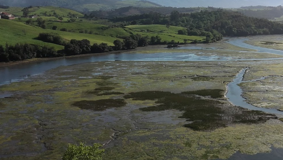 Parque Natural de Oyambre